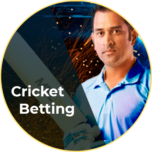 Melbet Cricket Betting
